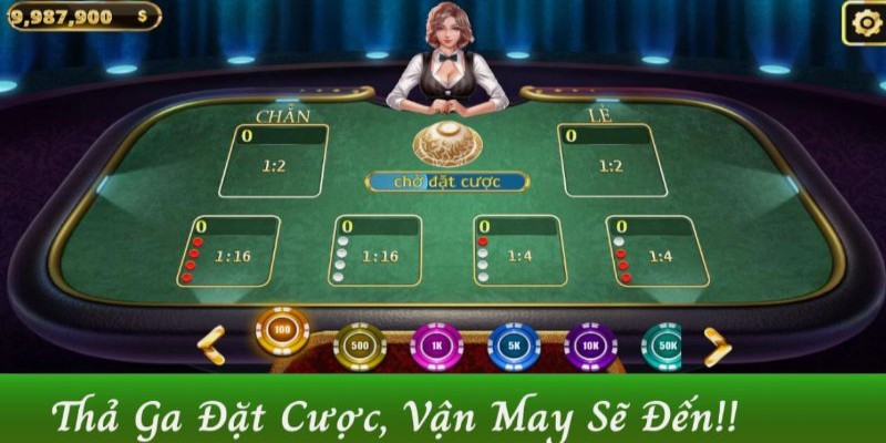 Tổng hợp những game bài hấp dẫn cược thủ